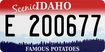 ID license plate E200677