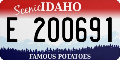 ID license plate E200691