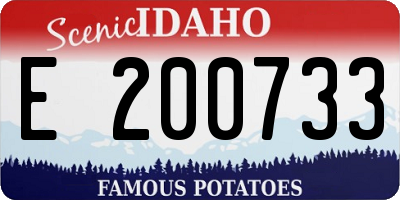 ID license plate E200733