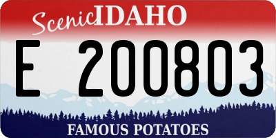 ID license plate E200803