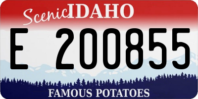 ID license plate E200855
