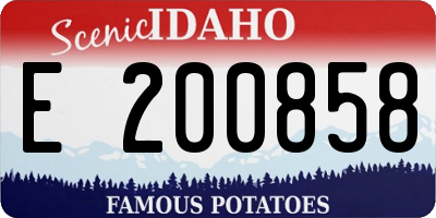 ID license plate E200858