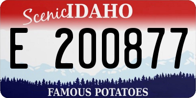ID license plate E200877