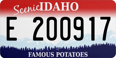 ID license plate E200917