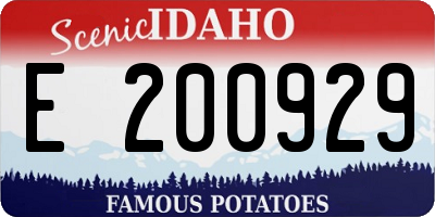 ID license plate E200929