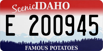 ID license plate E200945
