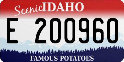 ID license plate E200960