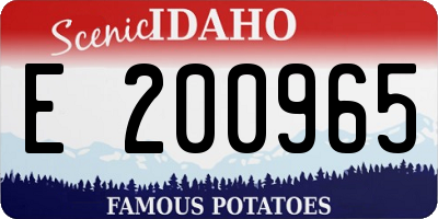 ID license plate E200965