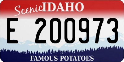 ID license plate E200973
