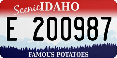 ID license plate E200987