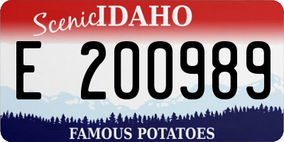 ID license plate E200989