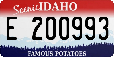 ID license plate E200993