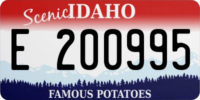 ID license plate E200995