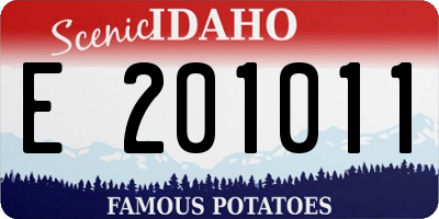 ID license plate E201011