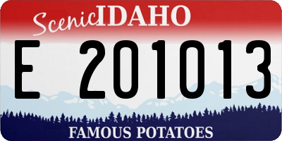 ID license plate E201013