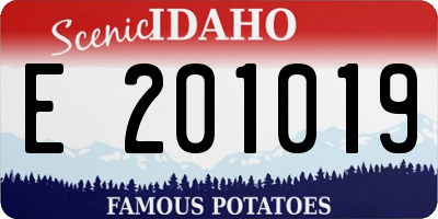 ID license plate E201019