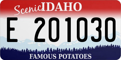 ID license plate E201030