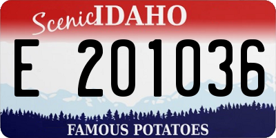 ID license plate E201036