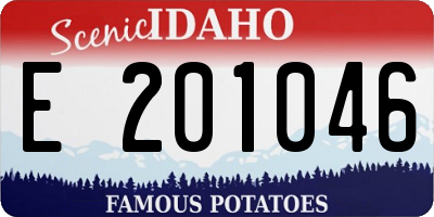 ID license plate E201046