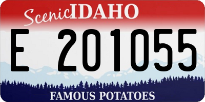 ID license plate E201055