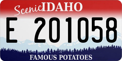 ID license plate E201058