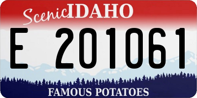 ID license plate E201061