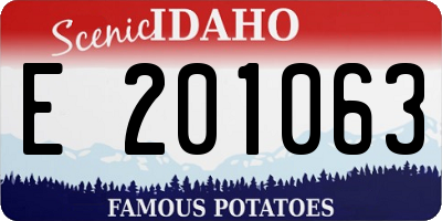 ID license plate E201063