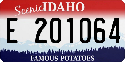 ID license plate E201064