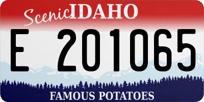 ID license plate E201065