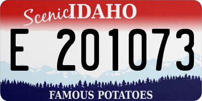 ID license plate E201073