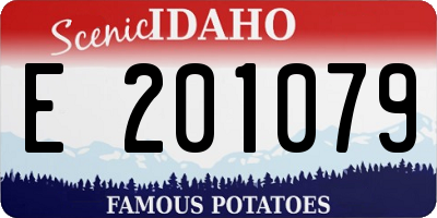 ID license plate E201079