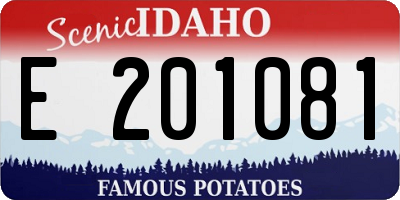 ID license plate E201081