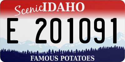 ID license plate E201091