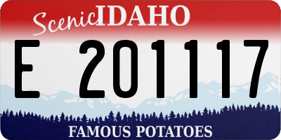 ID license plate E201117