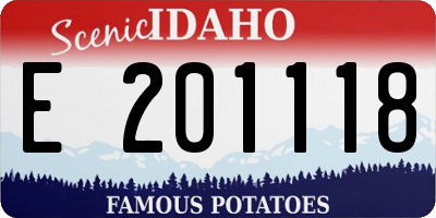 ID license plate E201118