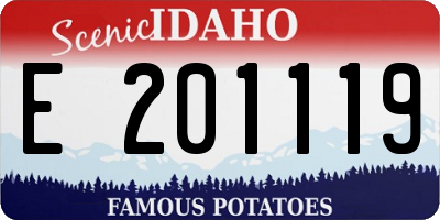 ID license plate E201119