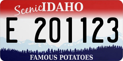 ID license plate E201123