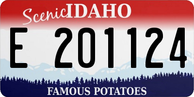 ID license plate E201124