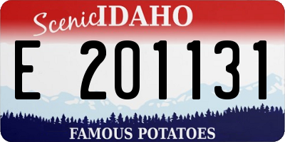 ID license plate E201131
