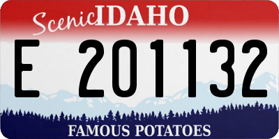 ID license plate E201132