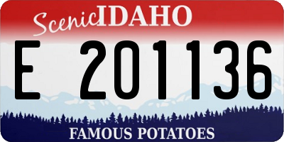 ID license plate E201136