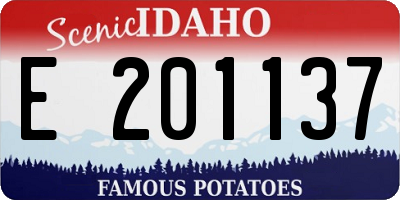 ID license plate E201137