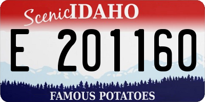 ID license plate E201160