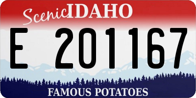 ID license plate E201167