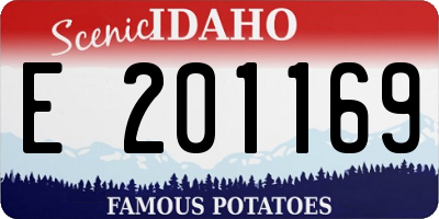 ID license plate E201169