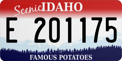 ID license plate E201175