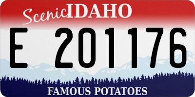 ID license plate E201176