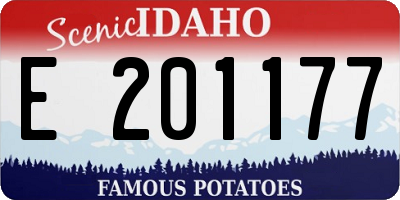 ID license plate E201177
