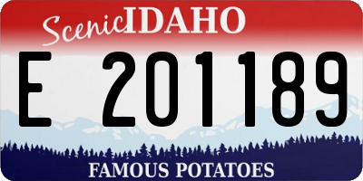 ID license plate E201189