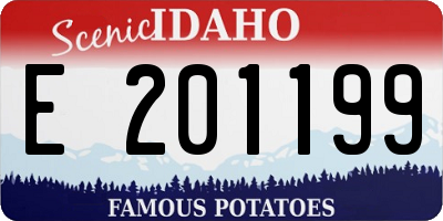 ID license plate E201199